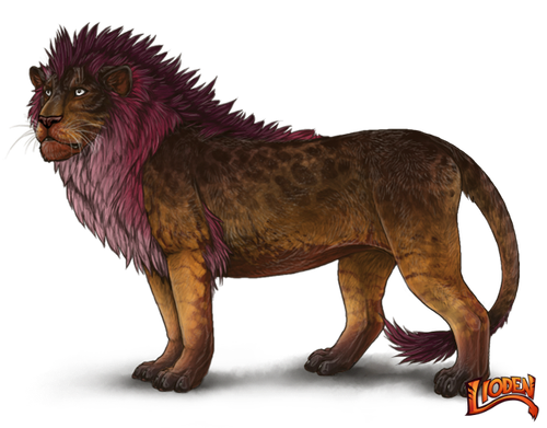 lioden wardrobe 2026 02 28T120219.236.png