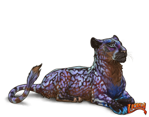 lioden wardrobe 2026 02 28T115449.218.png