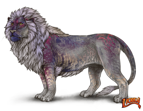 lioden wardrobe 2026 02 28T115700.146.png