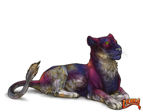 lioden wardrobe 2026 02 28T120005.547.png