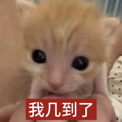 c438126701cbf799913f5adb87e9d876.png