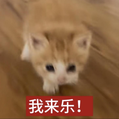 02b2f57ca8c9d3e99e3d5035a8d7c105.png