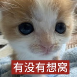 fb4c9e123db80f5bb4f941a1301df3f0.png