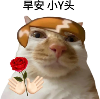 8f0c6f28dba3acea28f56c0c8cde8437.png