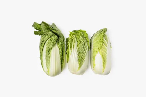 79461771 a2e6 46ae b040 28b5c6ab4175.webp