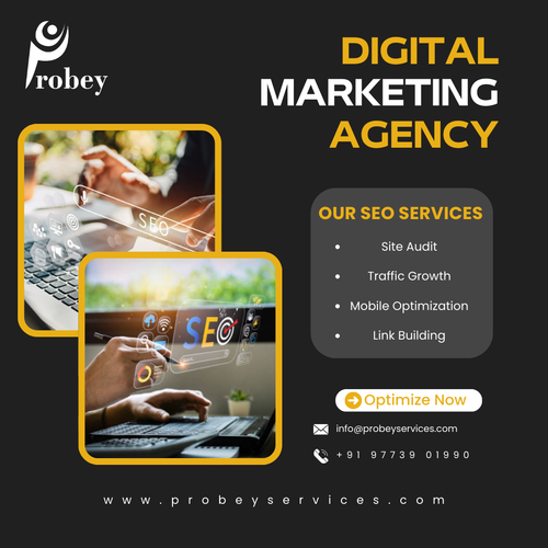 #1 Choice for SEO Services in Mumbai.png