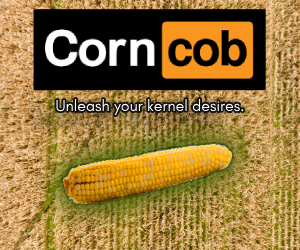corncob.2