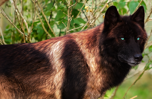 image 2021 04 05 180531.png