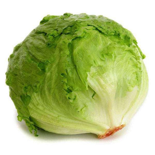 lettuce 2.jpg