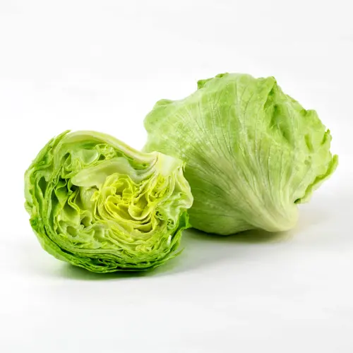lettuce 1.webp