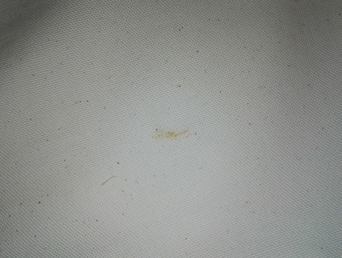 IMG 20190202 101713.jpg