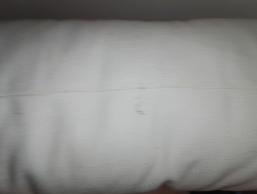 IMG 20190202 101852.jpg