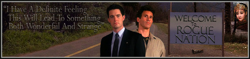 TwinP Banner.jpg