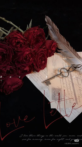 Camera XHS 17743386891871040g2sg31gjpq6lsjidg5pvd6la3lk3gi5u9jr0.jpg