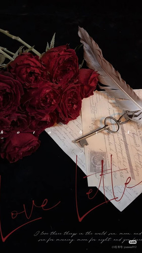 Camera XHS 17743386891871040g2sg31gjpq6lsjidg5pvd6la3lk3gi5u9jr0.jpg