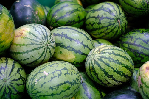 Green Watermelon 2.jpg