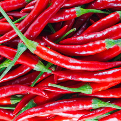 red chili vegetable2.jpg