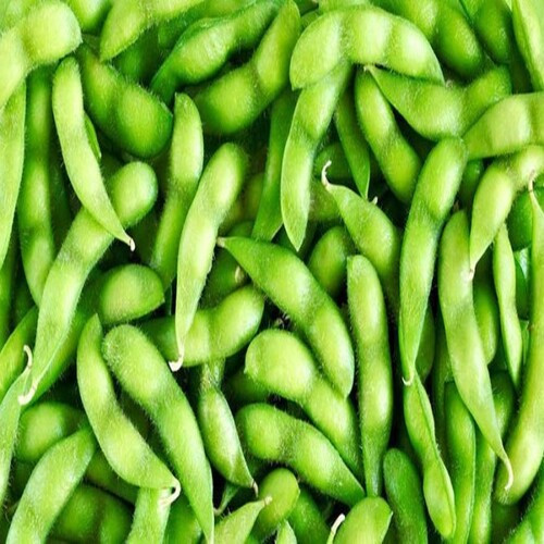 green Edamame vegetable.jpg