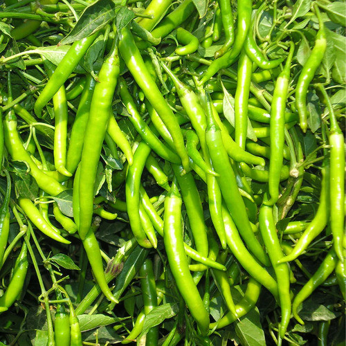 green chili vegetable2.jpg