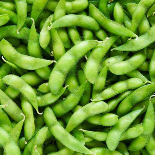 green Edamame vegetable4.jpg