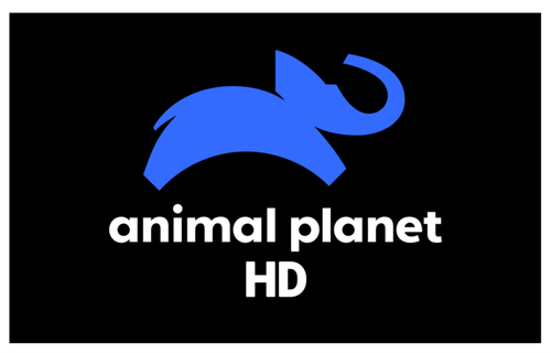 Animal Planet HD.png