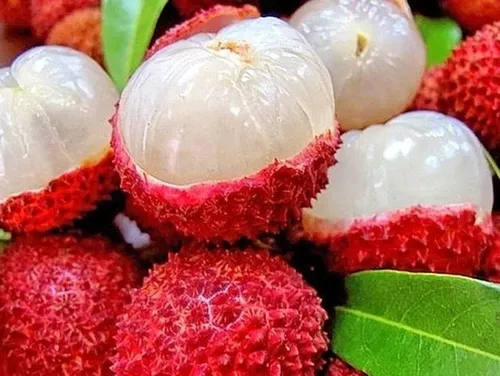 D NQ NP 844419 MLM48945711274 012022 O.webp