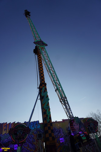 DSC07602 Watermarked.jpg