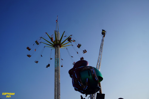 DSC07668 Watermarked.jpg