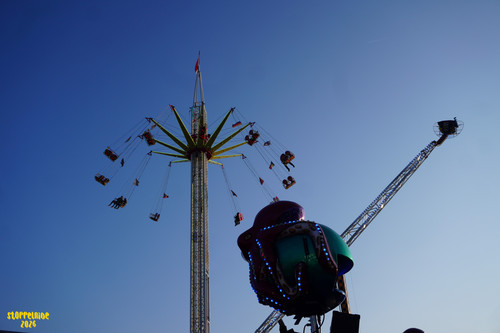 DSC07669 Watermarked.jpg