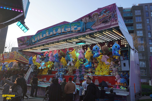 DSC07675 Watermarked.jpg