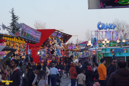 DSC07686 Watermarked.jpg