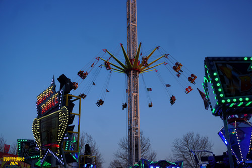 DSC07710 Watermarked.jpg