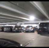 Candy and Mary at Jax airport 2.gif