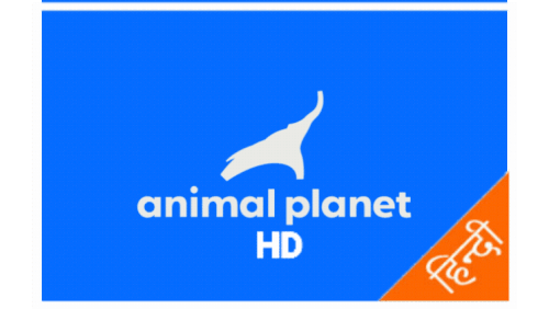 Animal Planet HD Hindi Animated.gif
