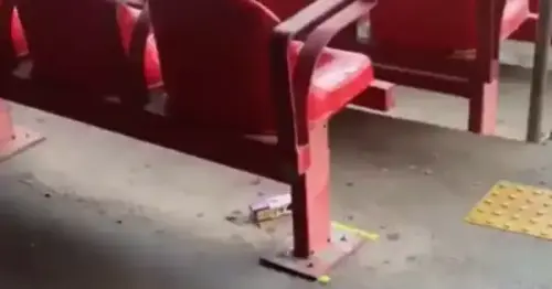 LIXO PRA TODO LADO: Abandono no Morumbi expõe crise no São Paulo e deixa torcida indignada