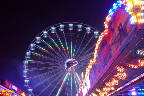 DSC07463 Watermarked.jpg