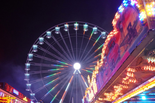 DSC07464 Watermarked.jpg