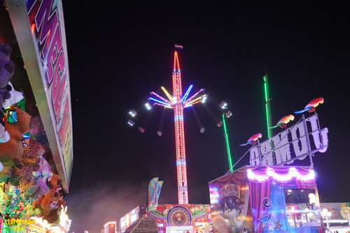 DSC07485 Watermarked.jpg