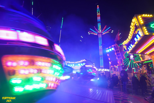 DSC07536 Watermarked.jpg