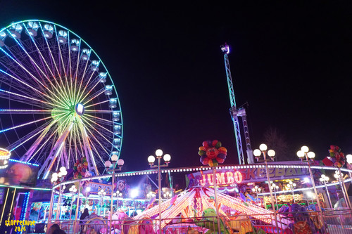 DSC07400 Watermarked.jpg