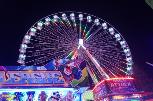 DSC07445 Watermarked.jpg