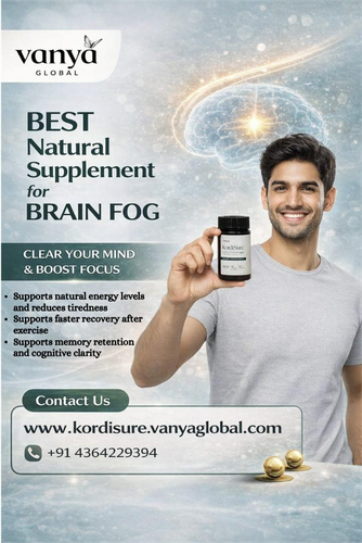 Best natural supplement for brain.png