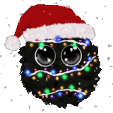 Christmas Lights Floofi 300px.gif