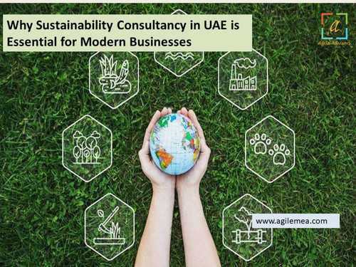 Why Sustainability Consultancy in UAE is Essential for Modern Businesses.jpg