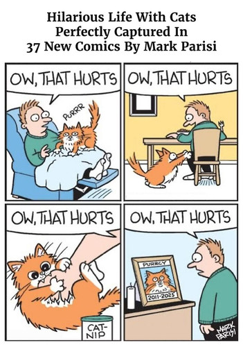 cat edition single panel cartoons mark parisis part 3.jpg