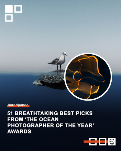 Community Share 18 March.jpg