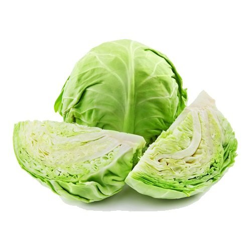 cabbage vegetable1.jpg