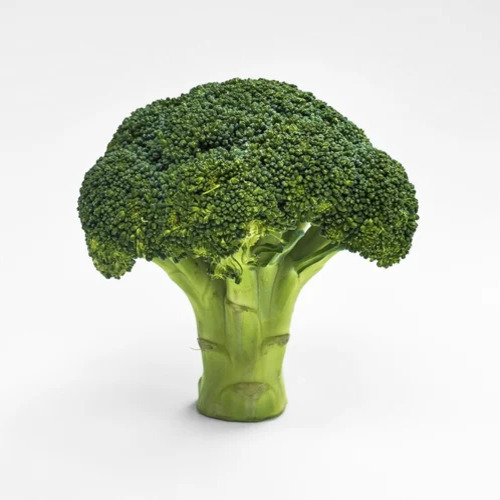 broccoli vegetable1.jpg