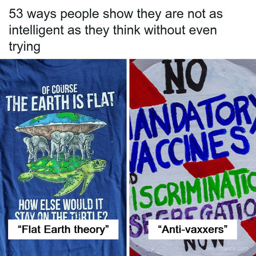 low intelligence.jpg