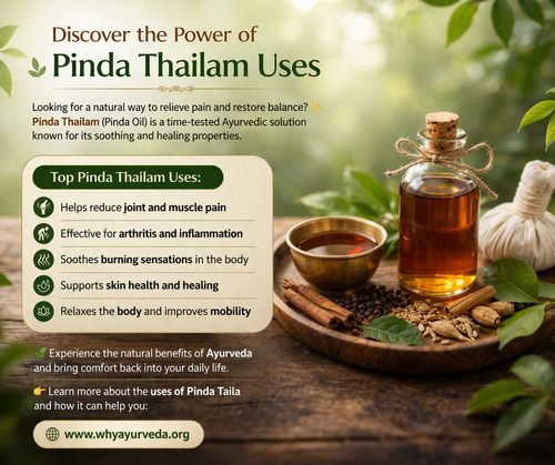 Pinda Thailam Uses for Pain Relief and Healthy Living.png